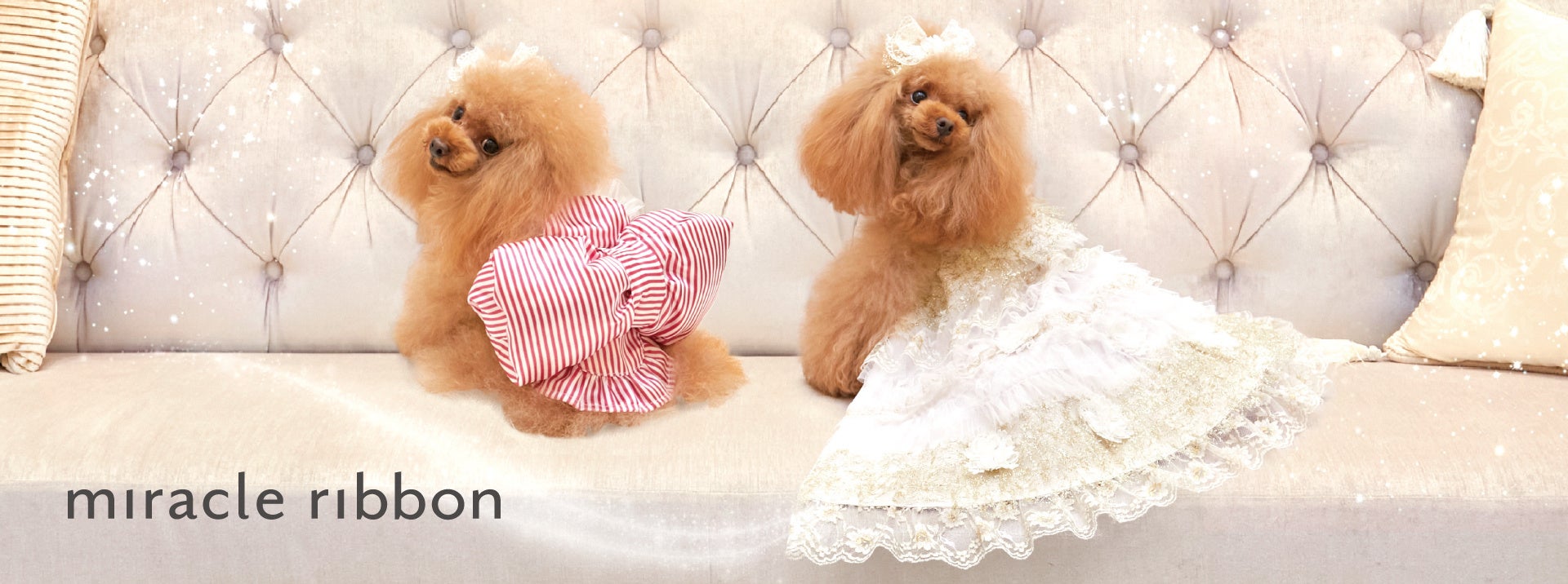 【8月2日(水)・3日(木)限定】愛犬のためのブライダルフェアを神戸異人館で開催のサブ画像5