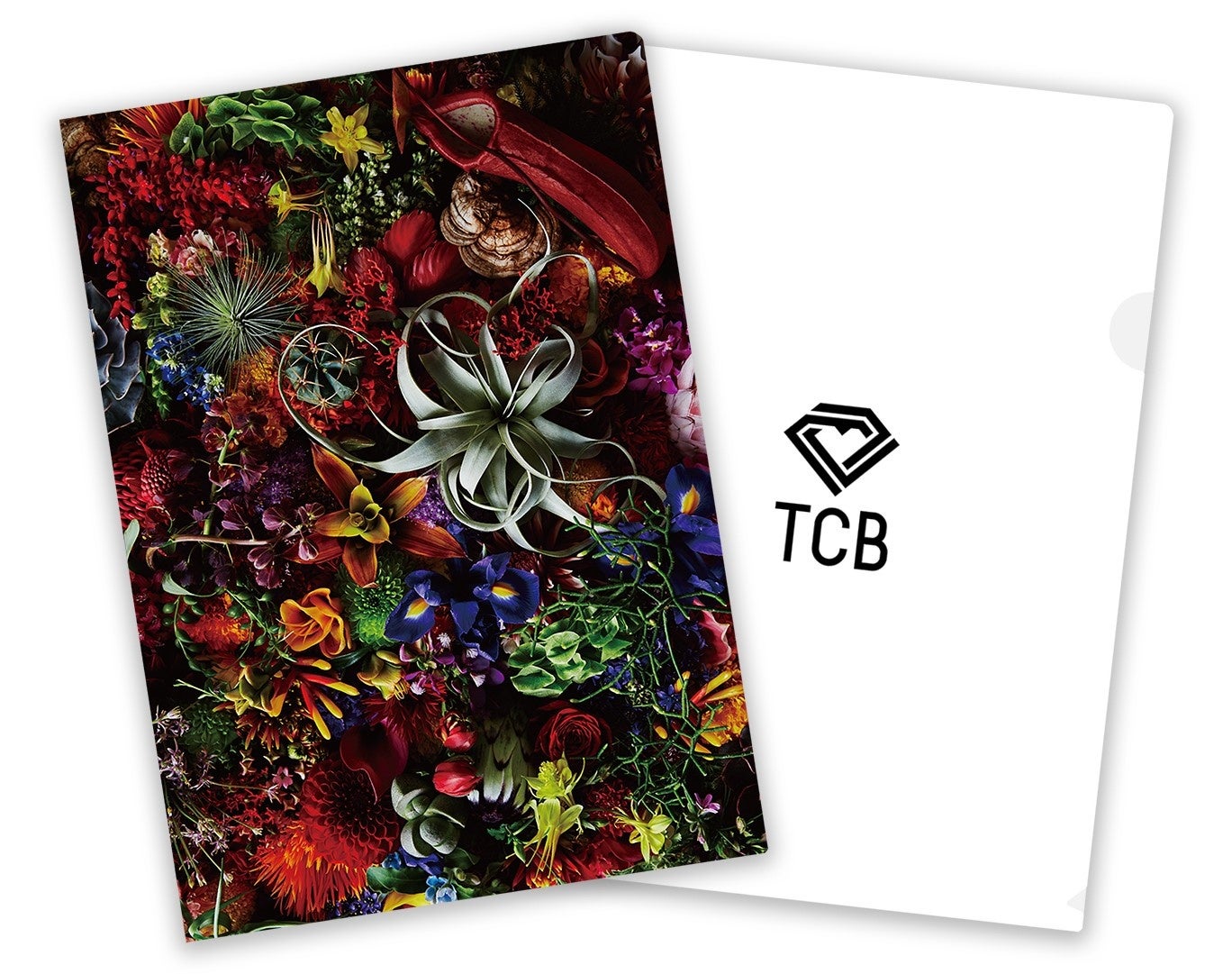 【TCB東京中央美容外科】オリジナルフレグランスを導入。数々のハイブランドの香りを手掛ける調香師がプロデュースのサブ画像3_AMKK（東信、花樹研究所）プロデュースデザインを取り入れたオリジナルクリアファイル